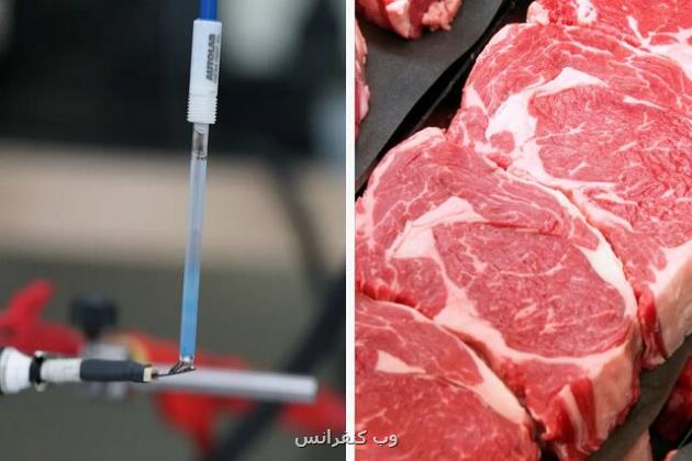 سنسور زیستی جدیدی که فساد گوشت را تشخیص می دهد