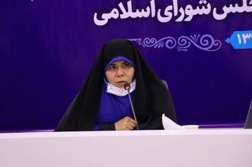 ضرورت تقویت بخشنامه پشتیبانی از کسب و کارهای اقتصاد دیجیتال