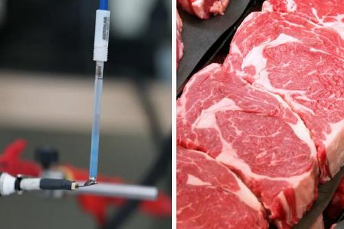 سنسور زیستی جدیدی که فساد گوشت را تشخیص می دهد